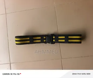 Security Belt