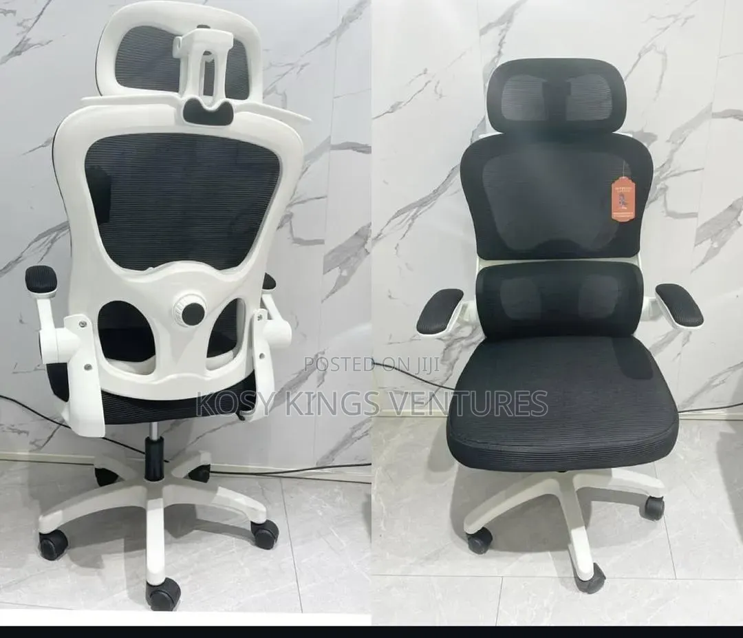 Brand New Generic Ergonomic Chair