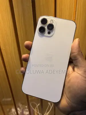 Apple iPhone 12 Pro Max 128 GB Silver