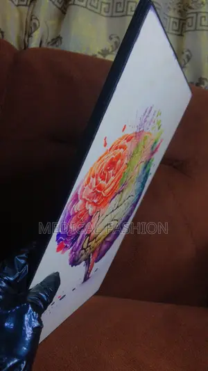 Brain-Inspired Frame