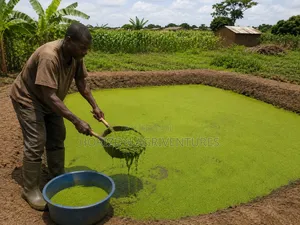 Feed Smarter. Spend Less. Earn More