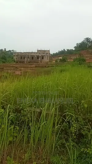 1 Plot of Land for Sale at Nibo Back Old Governors House