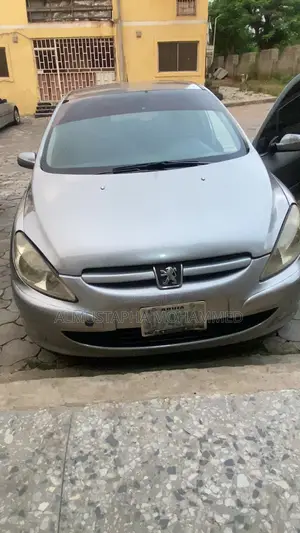 Peugeot 307 X-Line 1.6 Automatic 2006 Gray