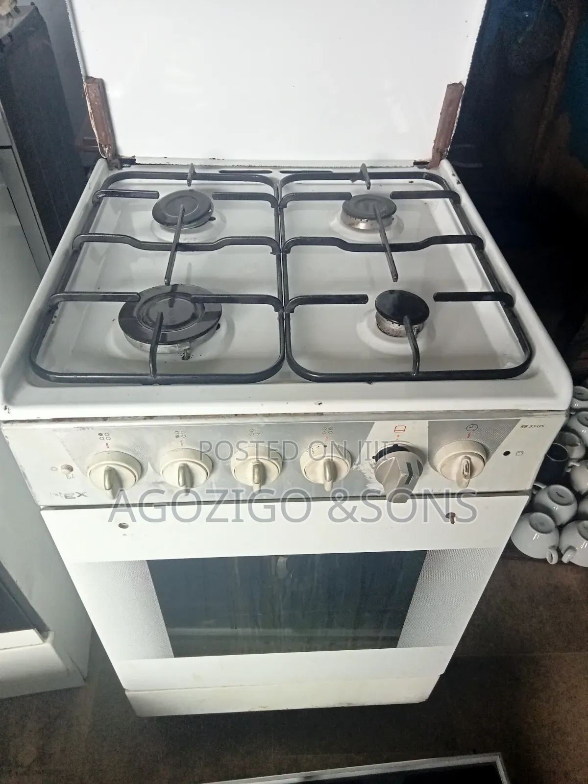 Standing Cooker