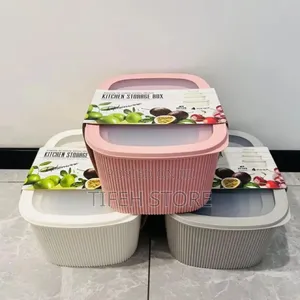 4 Pieces Storage Container