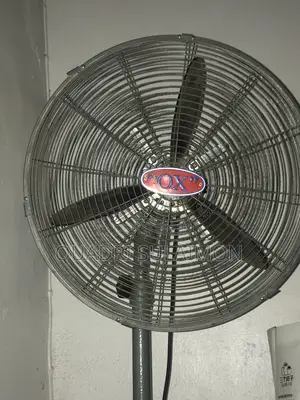 Standing Fan