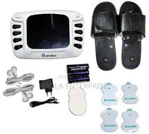 Electronic Pulse Massager
