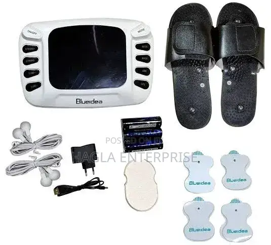 Electronic Pulse Massager