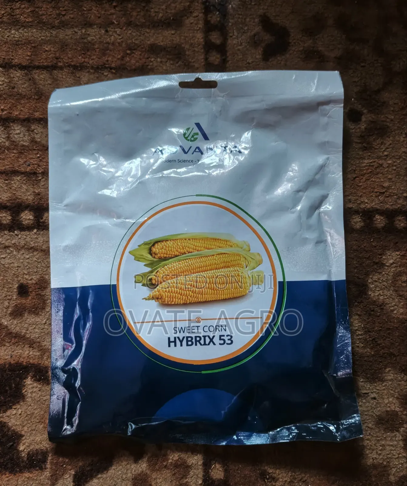 Sweet Corn Hybrix 53