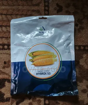 Sweet Corn Hybrix 53