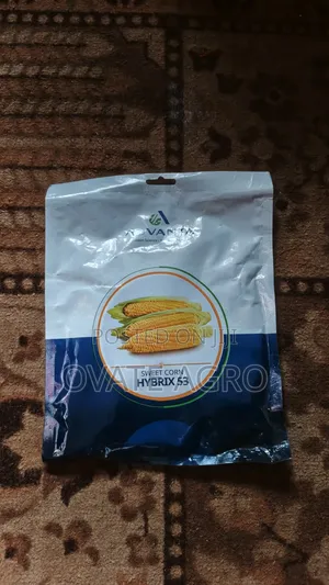 Sweet Corn Hybrix 53