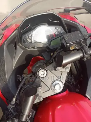Kawasaki Ninja 300 2016 Red