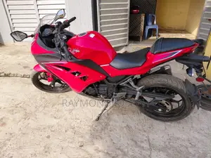 Kawasaki Ninja 300 2016 Red