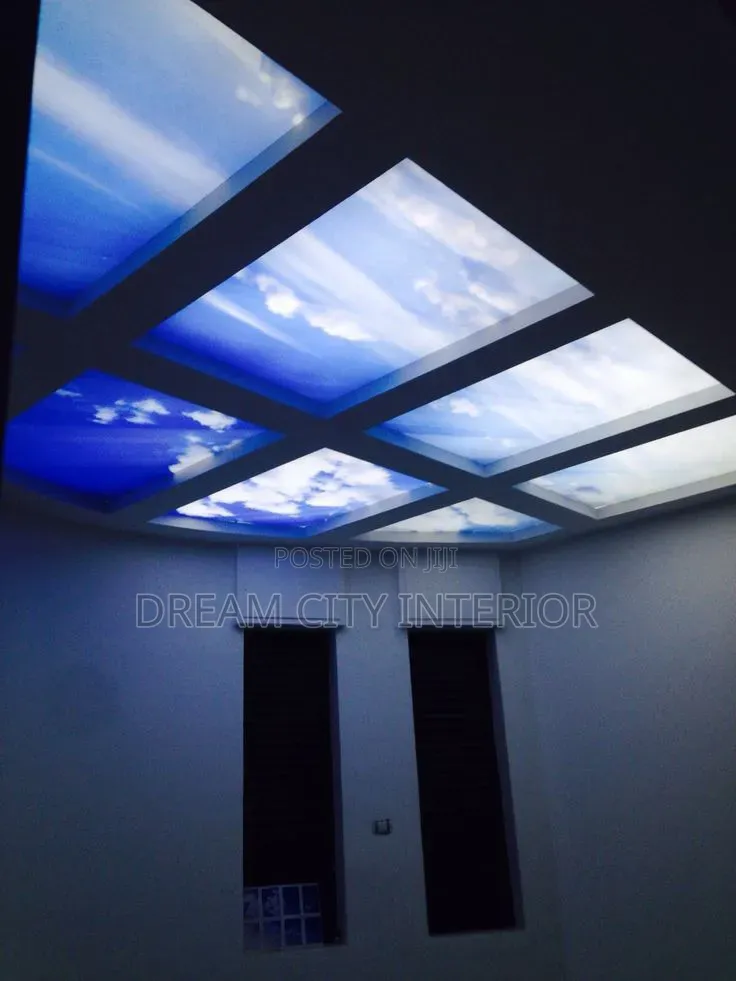 Stretch Ceiling 3d Designs