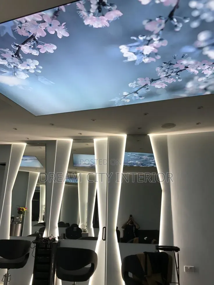 Stretch Ceiling 3d Designs