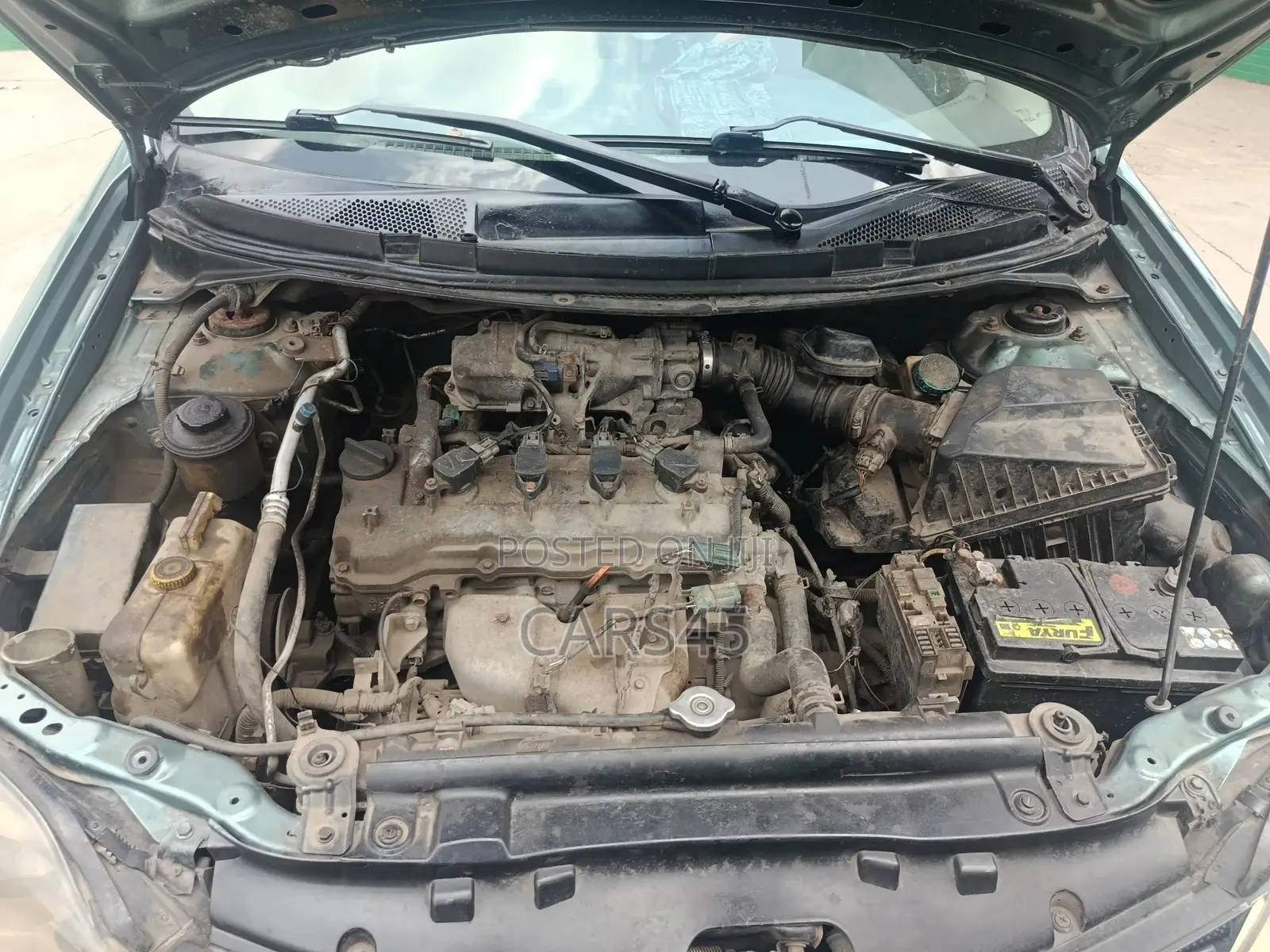 Nissan Primera 2002 Green