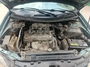 Nissan Primera 2002 Green