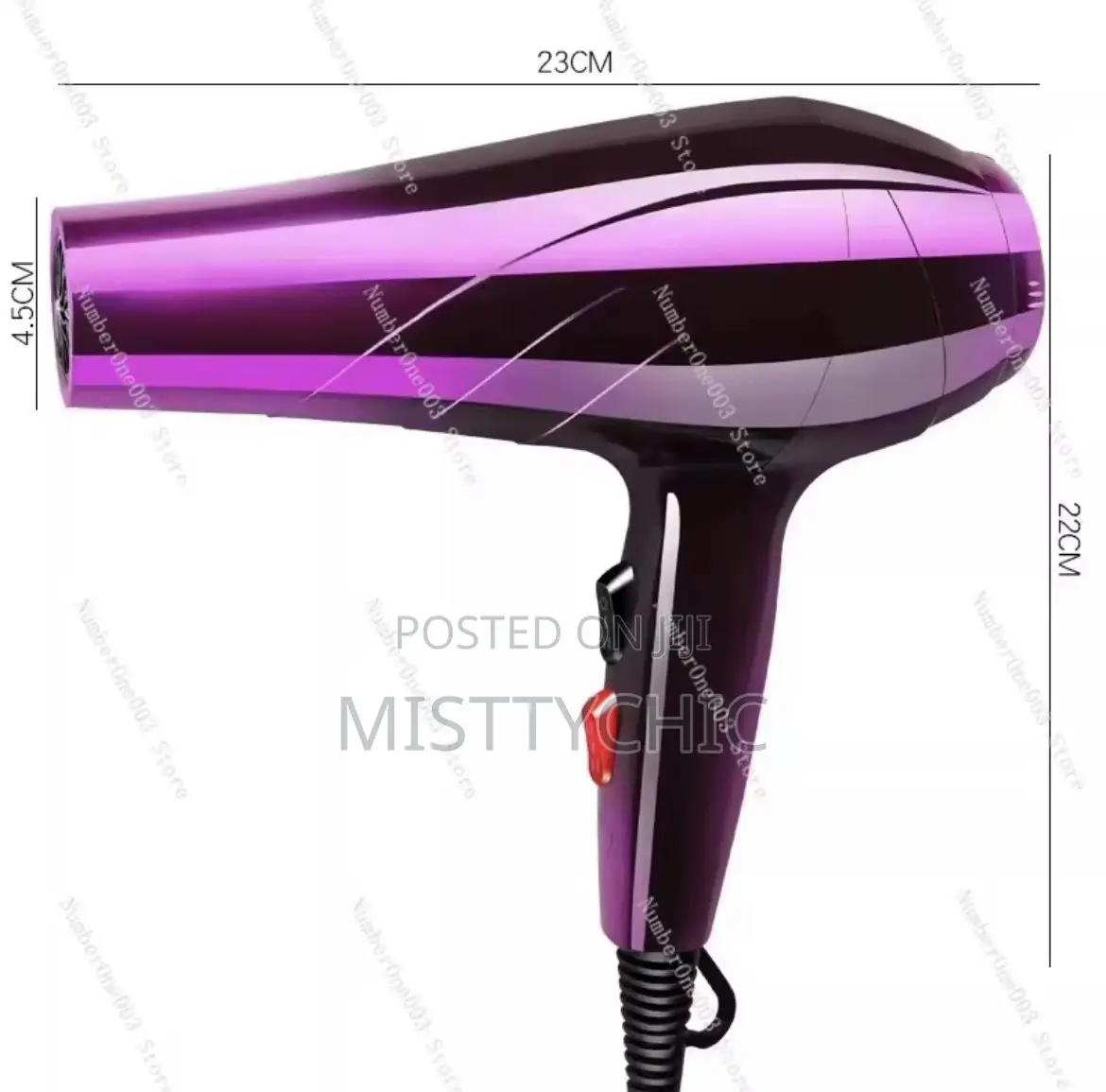 Professional Hair Dryer