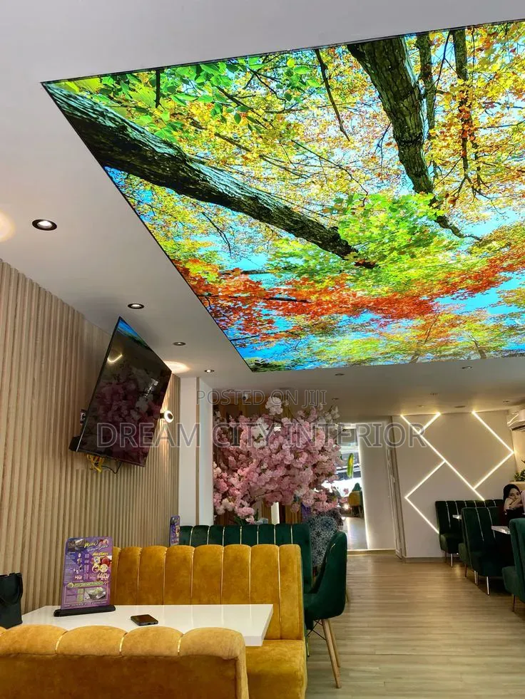 Stretch Ceiling 3d Designs