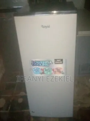 Standing Fridge