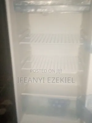 Standing Fridge