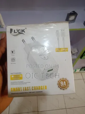 Flick Fl-2p01 Fast Charger