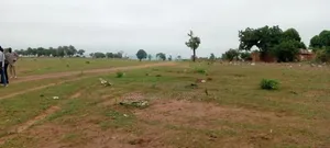 Castle Land