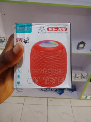 Wster Ws-309 Portable Wireless Speaker