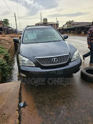 Lexus RX 330 AWD 2006 Gray