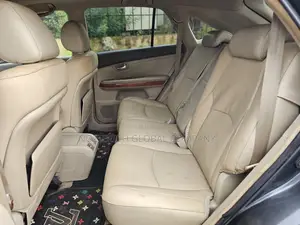 Lexus RX 330 AWD 2006 Gray