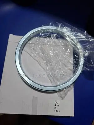 R37 Octagonal Metallic Ring Gaskets RTJ