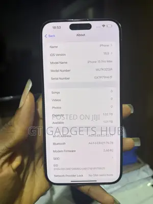 Apple iPhone 15 Pro Max 1 TB Gray