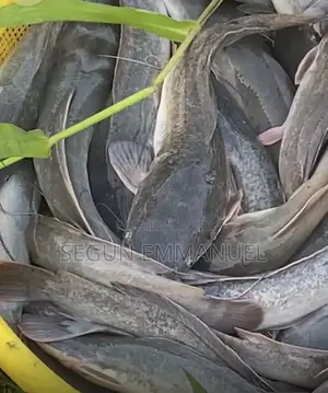 Sambal Aqua Agriculture