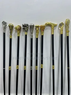Walking Sticks for Your Occasions
