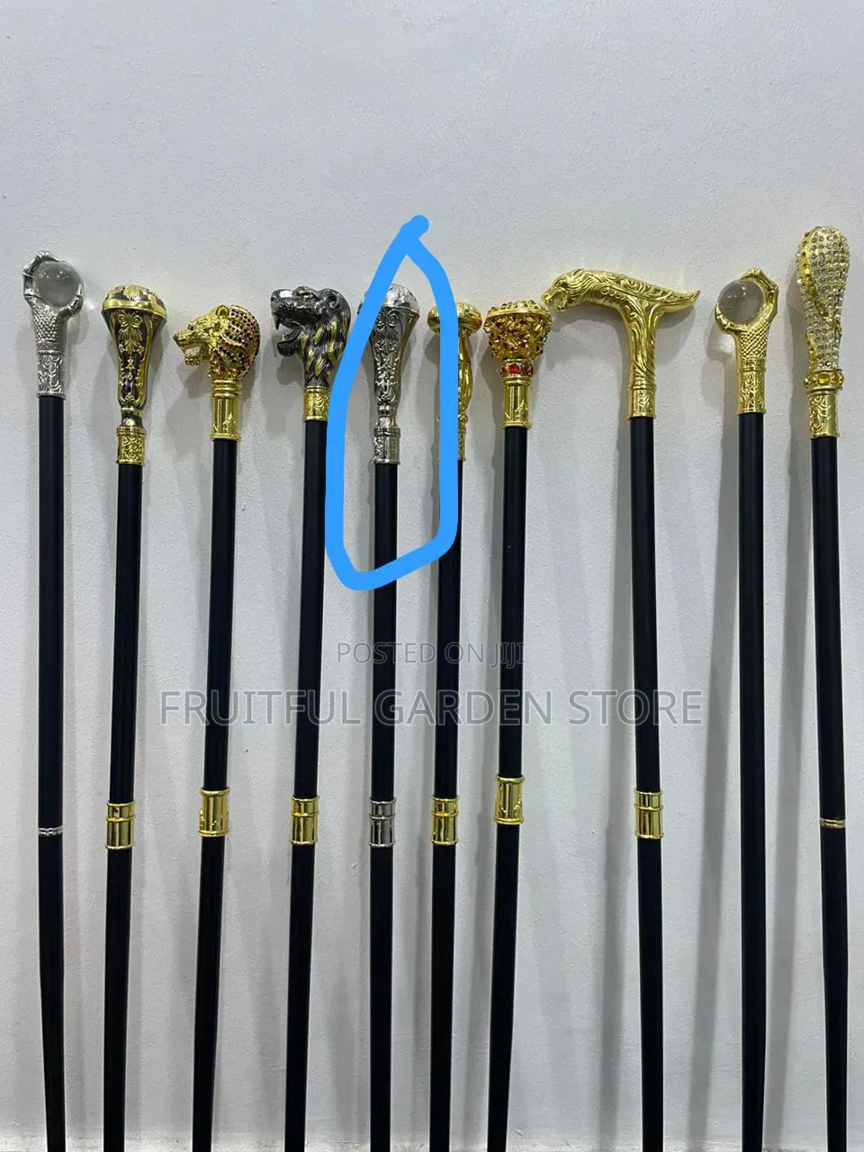 Walking Sticks for Your Occasions