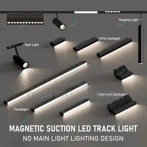 Magnetic Light