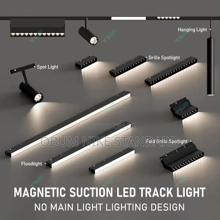 Magnetic Light