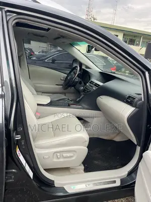 Lexus RX 350 2010 Gray