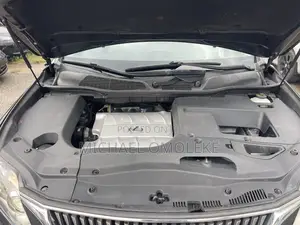 Lexus RX 350 2010 Gray
