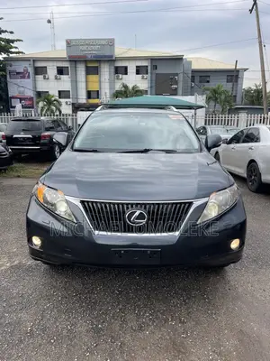Lexus RX 350 2010 Gray