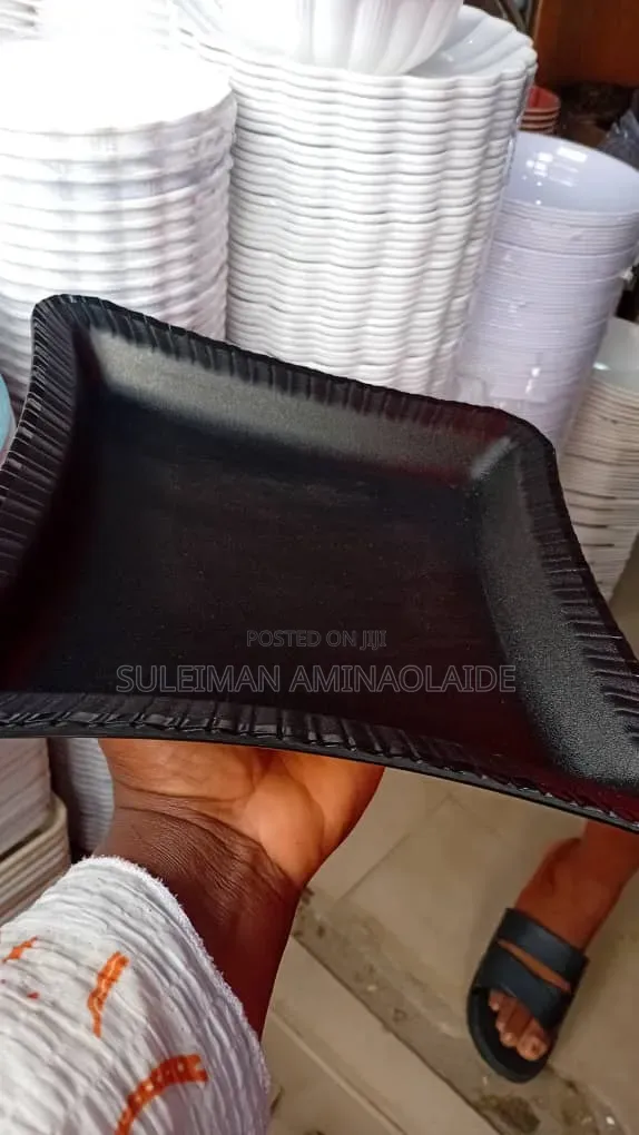 Unbreakable Plates Black Colour 12pcs