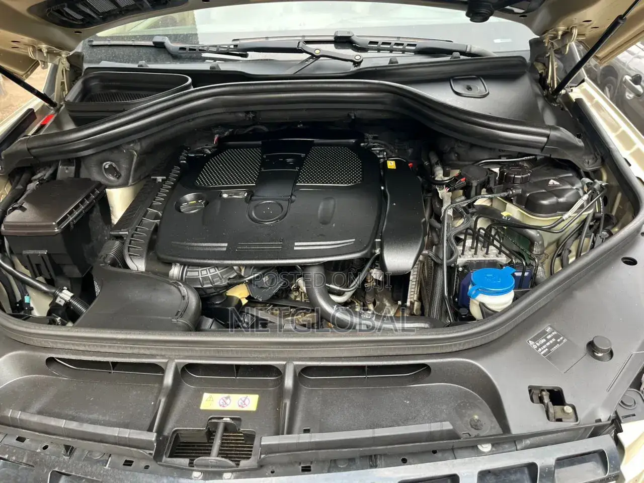 Vehicle Scanning Diagnosis