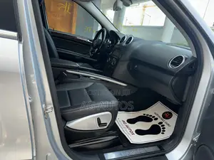 Mercedes-Benz M Class 2011 Silver