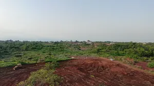 The Palace Estate