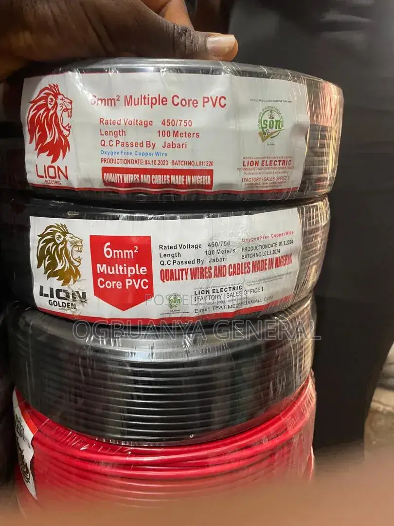 Lion Golden Wire