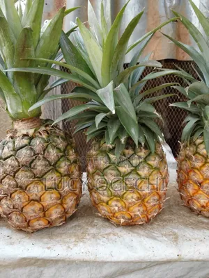 Fruits, Vegetables,Frozen Food and Other Food Items for Sale