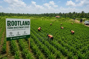 Rootland Farm Investment Estate