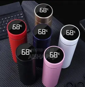 Temperature Water Flask