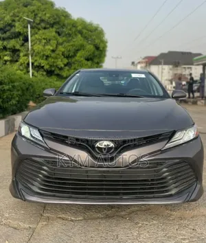 Toyota Camry LE (2.5L 4cyl 8A) 2019 Gray