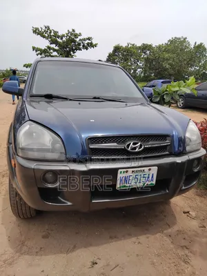 Hyundai Tucson 2007 Blue
